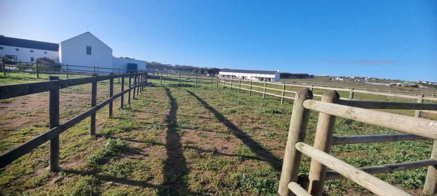 4 Bedroom Property for Sale in Long Acres Country Estate Western Cape